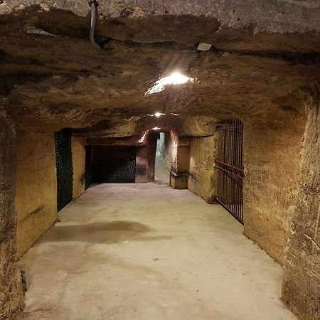 Chateau Fleur De Roques - Puisseguin Saint Emilion ภายนอก รูปภาพ