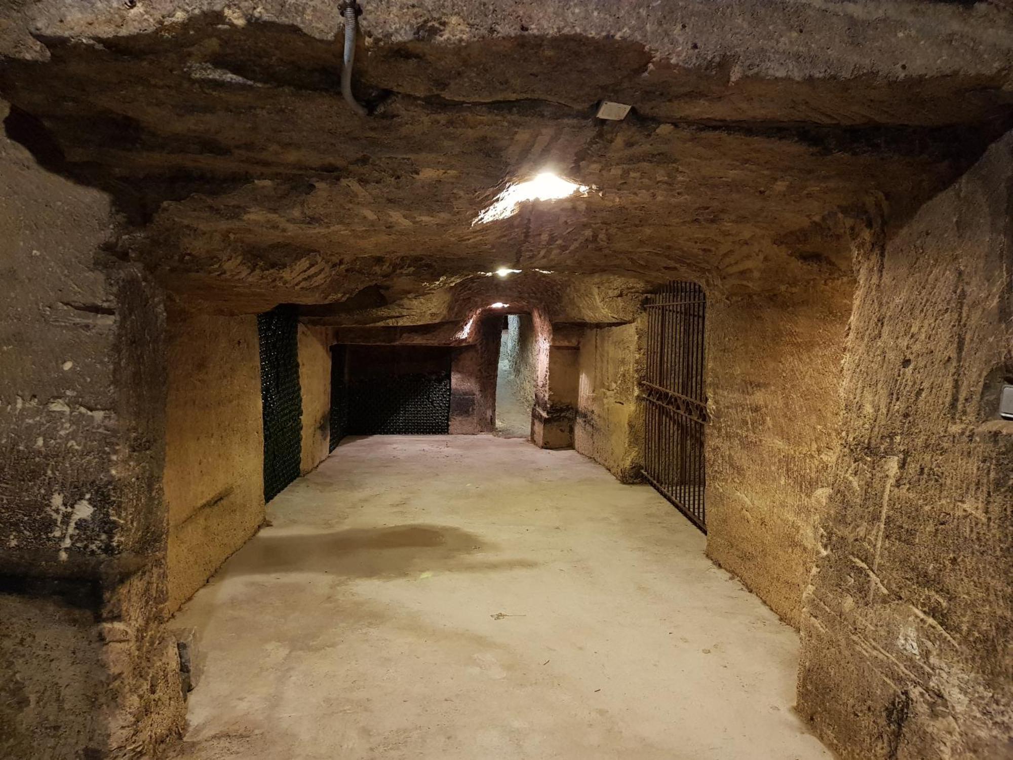 Chateau Fleur De Roques - Puisseguin Saint Emilion ภายนอก รูปภาพ