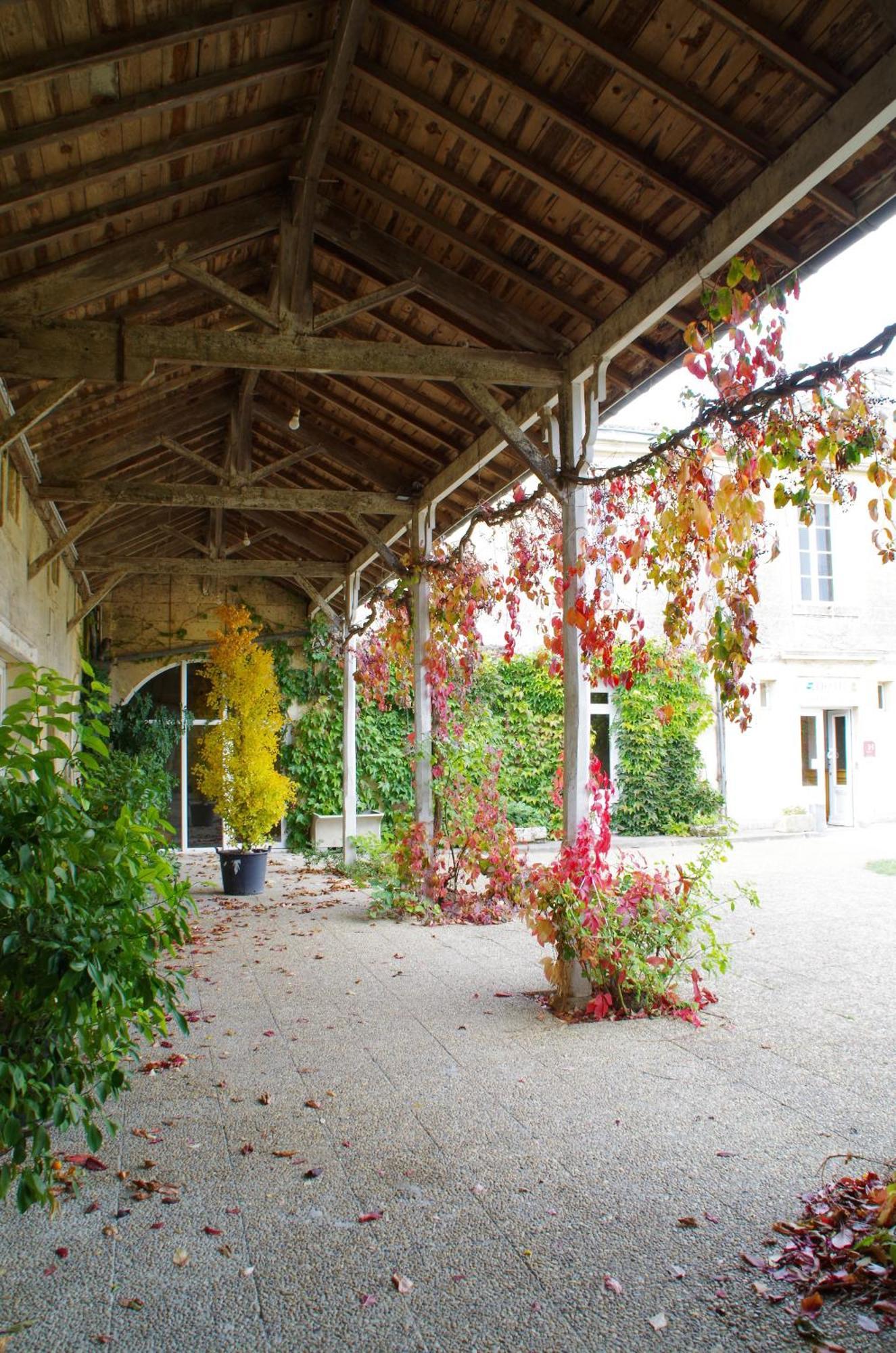 Chateau Fleur De Roques - Puisseguin Saint Emilion ภายนอก รูปภาพ