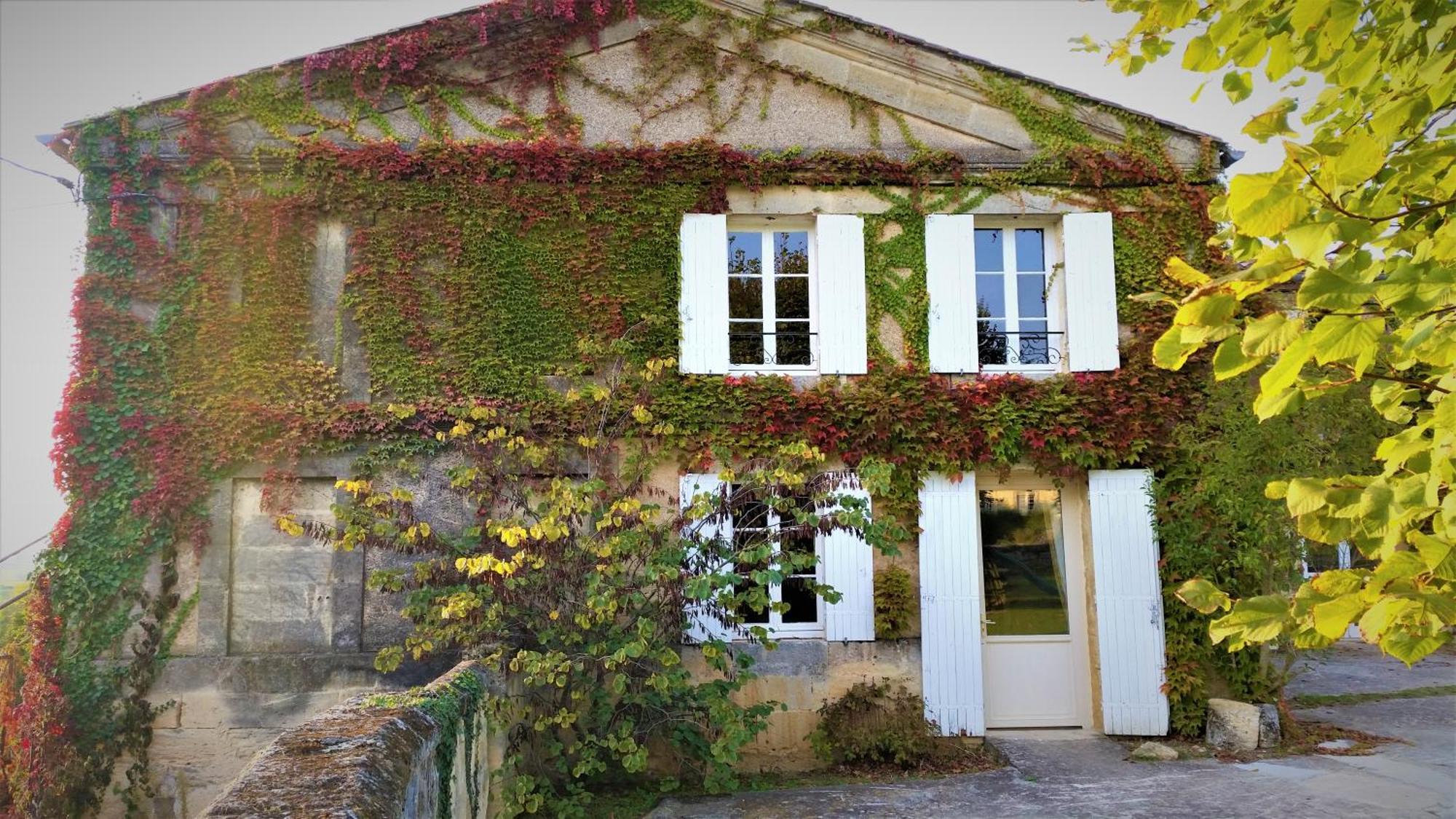 Chateau Fleur De Roques - Puisseguin Saint Emilion ภายนอก รูปภาพ